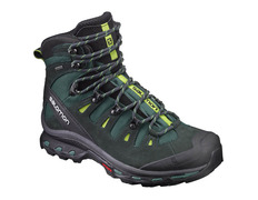 Bota Salomon Quest 4D 2 GTX Verde / Preto