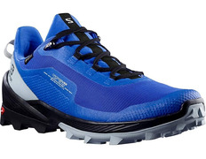 Salomon Cross Over GTX Blue Shoe