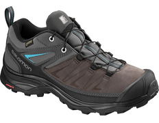 Sapatos Salomon X Ultra 3 LTR GTX W Marrom / cinza