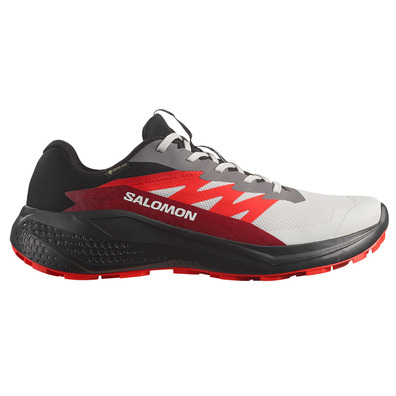 Tênis de corrida Salomon Alphaglide GTX cinza/vermelho/preto