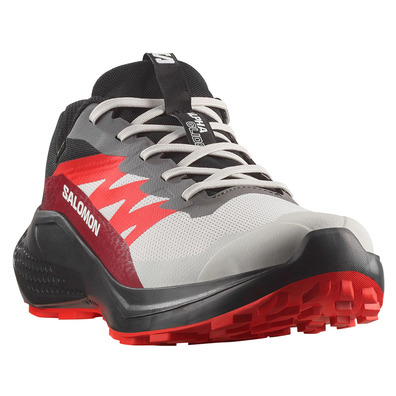 Tênis de corrida Salomon Alphaglide GTX cinza/vermelho/preto