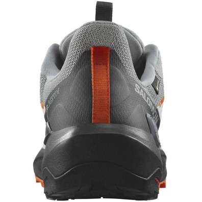 Sapato Salomon Elixir Activ GTX cinza/preto