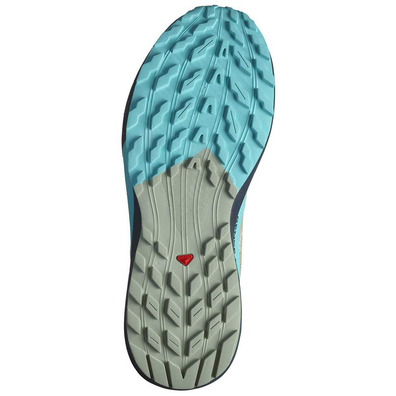 Sapato Salomon Sense Ride 5 Azul/Bege