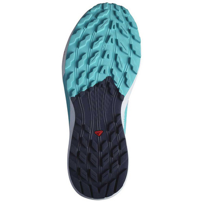 Sapato Salomon Sense Ride 5 W azul