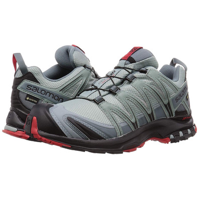 Sapatos Salomon XA Pro 3D GTX cinza / vermelho / preto