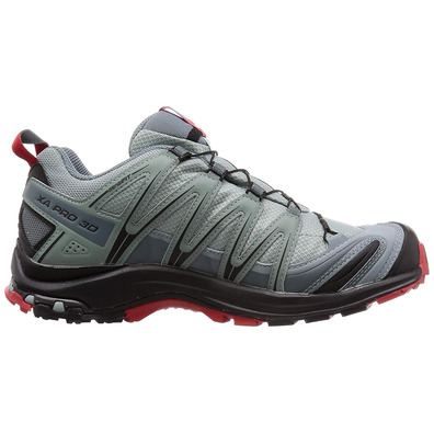 Sapatos Salomon XA Pro 3D GTX cinza / vermelho / preto