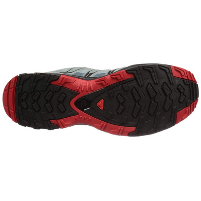 Sapatos Salomon XA Pro 3D GTX cinza / vermelho / preto