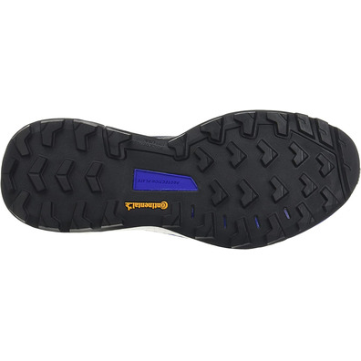 Sapatos Adidas Terrex Skychaser 2 GTX Navy