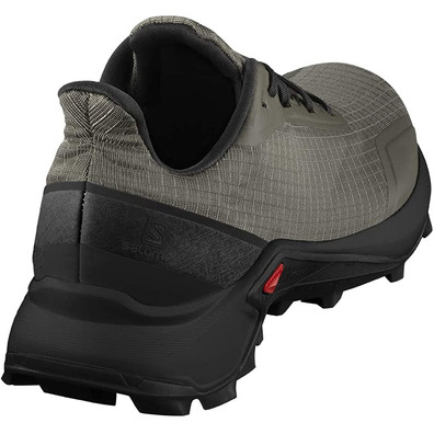 Zapatillas Salomon Alphacross GTX Gris / Kaki