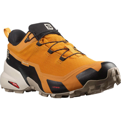 Zapatillas Salomon Cross Hike GTX Oro