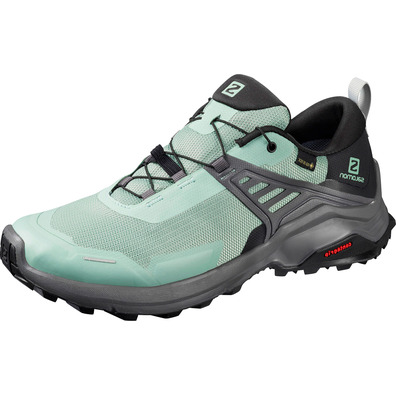 Sapatos Salomon X Raise GTX W Turquesa