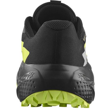 Tênis de corrida Salomon Alphaglide GTX preto/verde limão