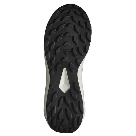 Tênis de corrida Salomon Alphaglide preto/branco