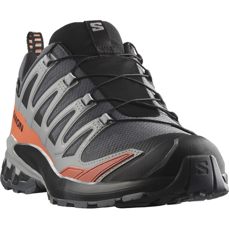 Tênis de corrida Salomon XA PRO 3D V9 Wide GTX cinza/azulejo