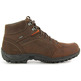 Chiruca GTX Dallas Boots Brown