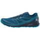 Sapatos Salomon Sense Ride 2 Gtx Azul / Preto