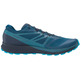 Sapatos Salomon Sense Ride 2 Gtx Azul / Preto