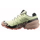 Sapato Salomon Speedcross 6 GTX W Verde/Bege