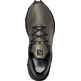 Zapatillas Salomon Alphacross GTX Gris / Kaki