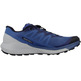 Sapatos Salomon Sense Ride 4 Blue