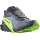 Ténis Salomon Sense Ride 5 GTX cinzento/verde/preto